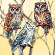 Night Owls Decorative Wooden Ornaments of 3 by G. Debrekht - Wildlife Decor - 8091004 - S3 - Freeyouthzbandz