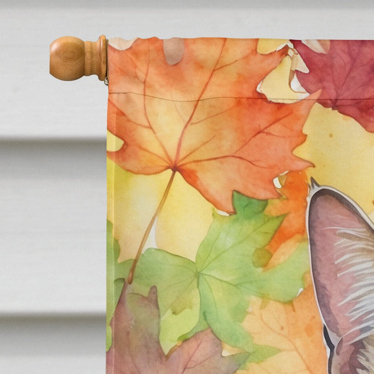 California Spangled Cat in Fall Leaves House Flag - Freeyouthzbandz