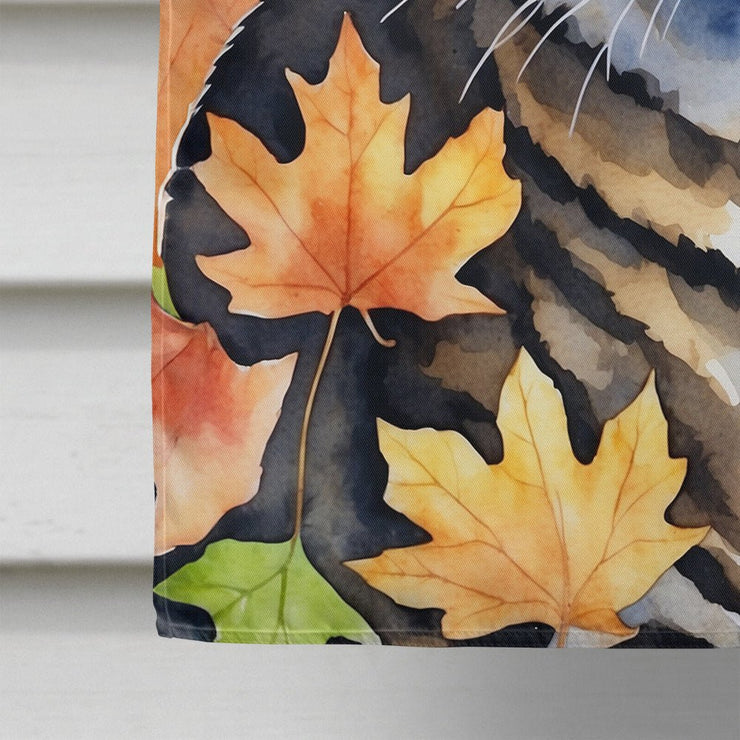 California Spangled Cat in Fall Leaves House Flag - Freeyouthzbandz