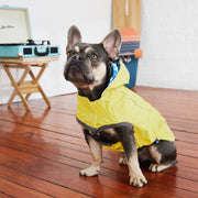 Reversible Elasto - Fit Raincoat - Yellow/Blue - Freeyouthzbandz