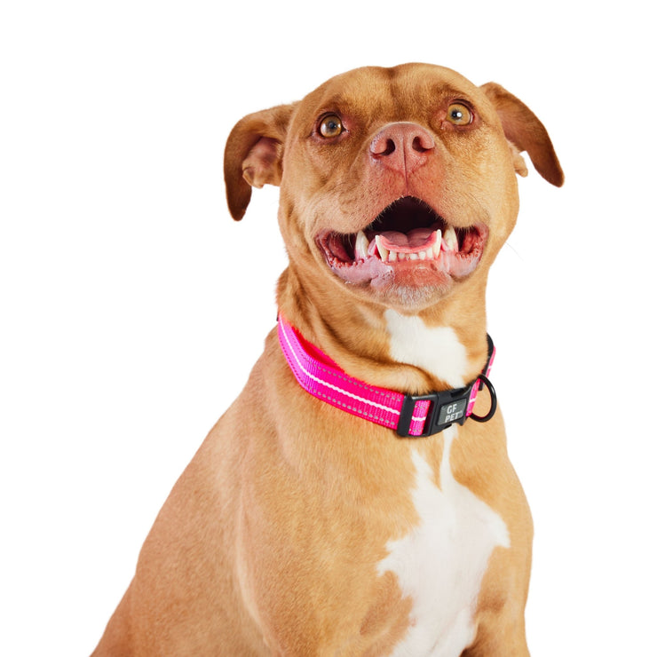 Reflective Collar - Neon Pink - Freeyouthzbandz