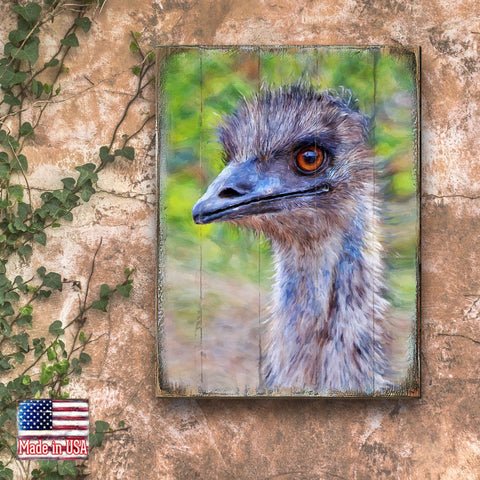 Appel Imu Art Wooden Wall Art by Nature Wonders - Nature Wildlife Decor - 95243B - Freeyouthzbandz