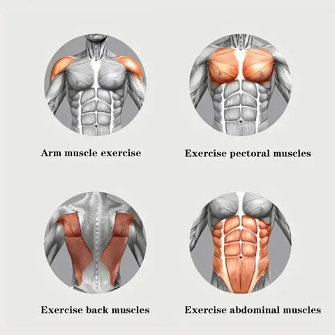 Silent Abdominal Muscle Training Roller - Automatic Rebound Ab Wheel - Freeyouthzbandz