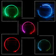 Usb Rechargeable Glow-In-The-Dark Pet Collar With Three Flashing Modes