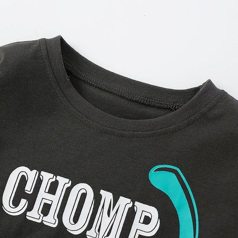 Baby Cute Dinosaur Graphic Long Sleeve O - Neck Autumn New Style Shirt - Freeyouthzbandz