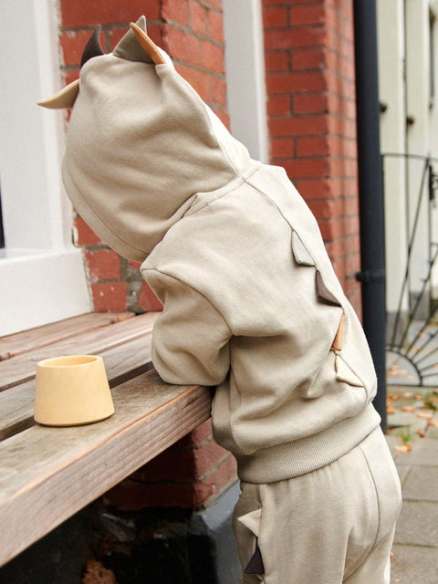 High Quality Spring And Autumn Boys Dinosaur Design Long Sleeves Top Zip - Up Hoodie And Pants Clothing Set - Freeyouthzbandz